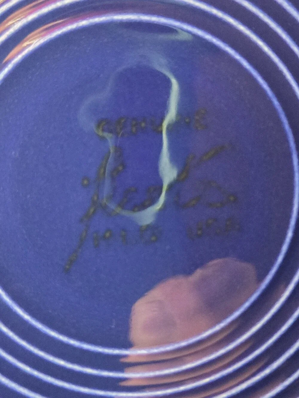 Vintage Fiestaware Blue (2 Colors) 9.5